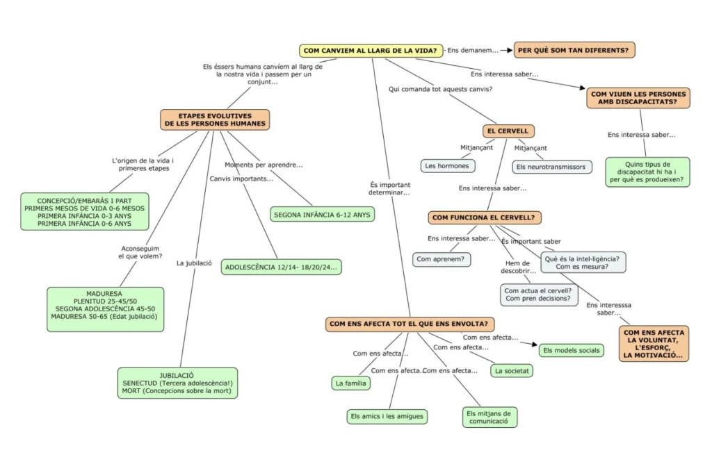 mapa-conceptual-canvis-vida